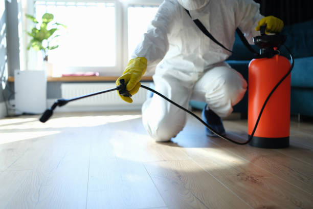 Trusted Sewage Cleanup service in Hamburg, PA - Four Month Blood Cleanse